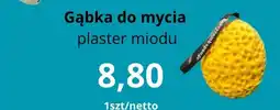 Triomen Gąbka do mycia plaster miodu oferta