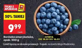 Biedronka Borówka amerykańska opak 300 g oferta