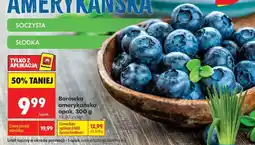 Biedronka Borówka amerykańska opak 300 g oferta