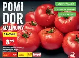 Biedronka Pomidor malinowy oferta