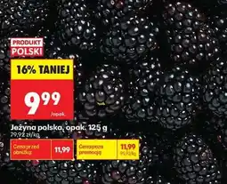 Biedronka Jeżyna polska, opak. 125 g oferta