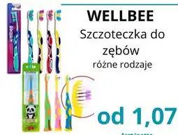 Triomen Wellbee Szczoteczka do zębów oferta