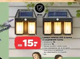 Netto Lampa solarna Barwa oferta