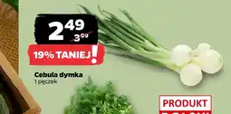 Netto Cebula dymka oferta