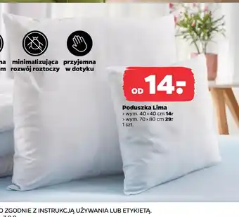 Netto Poduszka oferta