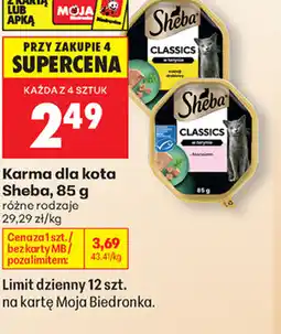 Biedronka Karma dla kota Sheba oferta