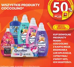 Biedronka Produkty Coccolino oferta