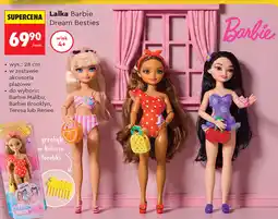 Biedronka Lalka Barbie Dream Besties oferta
