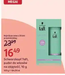 Rossmann Schwarzkopf Taft, puder do włosów na objętość oferta