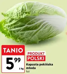 Intermarche Kapusta pekińska młoda luz oferta