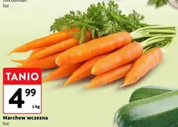 Intermarche Marchew wczesna luz oferta