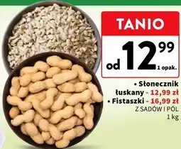 Intermarche Słonecznik łuskany oferta