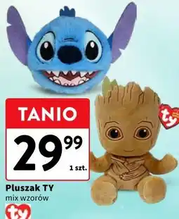 Intermarche Pluszak TY oferta
