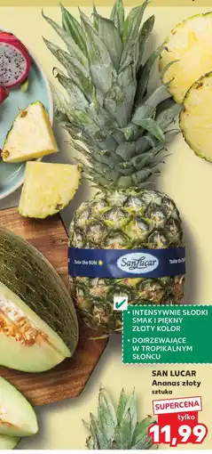 Kaufland Ananas złoty oferta