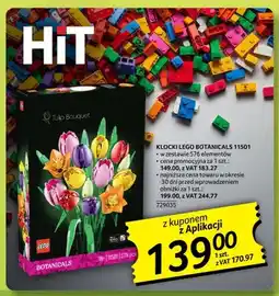 Selgros Lego Klocki Botanicals 11501 oferta