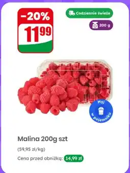 Dino Malina oferta