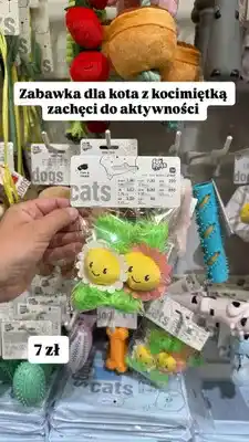 Pepco Zabawka dla kota z kocimiętką oferta