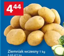 Lewiatan Ziemniak wczesny oferta