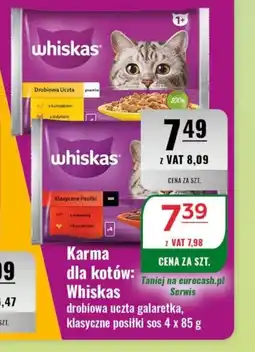Eurocash Karma dla kotów: Whiskas oferta