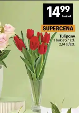 Delikatesy Centrum Tulipany 1 bukiet/7 szt oferta