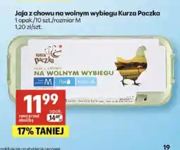 Delikatesy Centrum Jaja z chowu na wolnym wybiegu Kurza Paczka oferta
