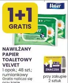 Stokrotka NAWILŻANY PAPIER TOALETOWY VELVET oferta
