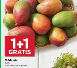 Stokrotka MANGO oferta