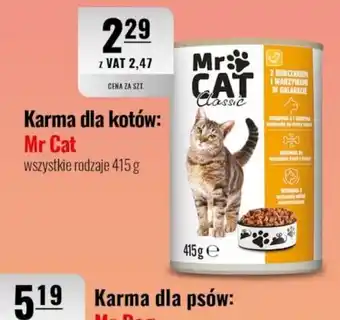 Eurocash Karma dla kotów: Mr Cat oferta