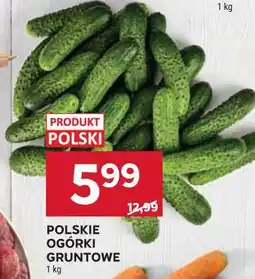 Stokrotka POLSKIE OGÓRKI GRUNTOWE oferta