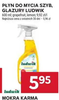 Stokrotka PŁYN DO MYCIA SZYB, GLAZURY LUDWIK oferta