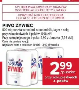 Stokrotka PIWO ŻYWIEC oferta
