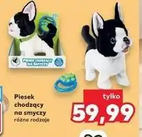 Kaufland Piesek chodzący oferta