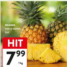 Intermarche Ananas extra słodki luz oferta