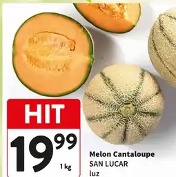 Intermarche Melon Cantaloupe SAN LUCAR luz oferta