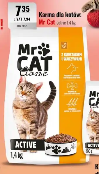 Eurocash Karma dla kotów: Mr Cat active oferta