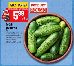 Polomarket Ogórki gruntowe polskie oferta