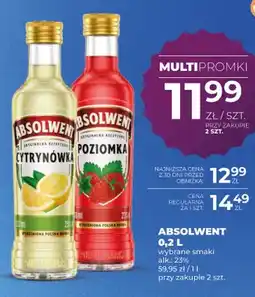 Duży Ben Wódka smakowa Absolwent Cytrynówka alk. 23% oferta
