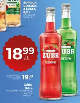 Duży Ben Wódka Żubr Poziomkowy 19% oferta