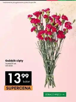 Delikatesy Centrum Goździk cięty 10-pak oferta