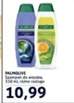 Blue Stop Palmolive Szampon do włosów oferta