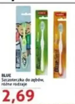 Blue Stop Blue Szczoteczka do zębów oferta