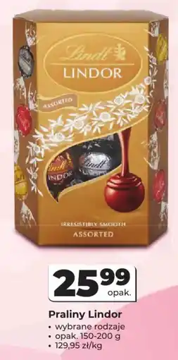 Odido Praliny Lindor oferta