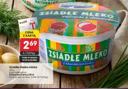 Market Point Zsiadłe mleko miska Krasnystaw oferta