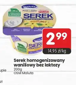 Market Point Serek homogenizowany waniliowy bez laktozy Maluta oferta