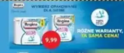 Blue Stop Regina Ręcznik papierowy oferta