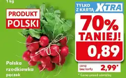 Kaufland Polska rzodkiewka oferta