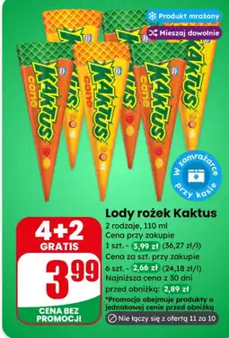 Dino Lody rożek Kaktus oferta