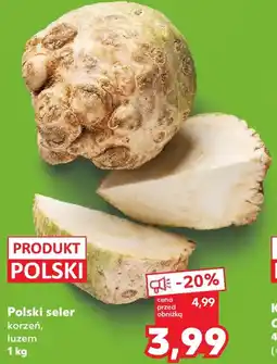 Kaufland Polski seler korzeń oferta