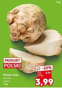 Kaufland Polski seler korzeń luzem oferta