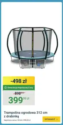 ERLI Trampolina ogrodowa 312cm z drabinką oferta